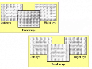 A technique called "dichoptic masking" creates images where faces or other objects are either visible or invisible; PNAS 2012