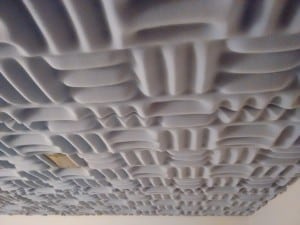 copyright: Lisa M.P. Munoz