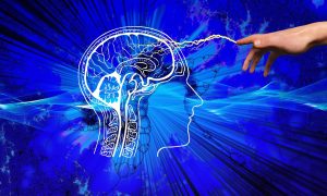 human intelligence