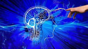 human intelligence