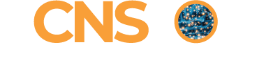 CNS2022-Logo_FNL4web CNS2022-Logo_FNL4web